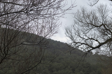 A Beautiful View from Top of Mountain