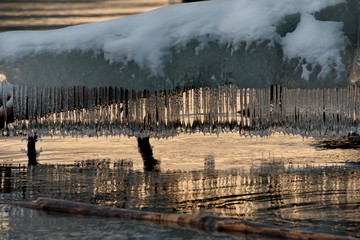Russia. mountain Altai. Evening light in ice floods and icicles on the shore of lake Teletskoye.