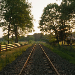 Fototapeta premium landscape of a traintrack