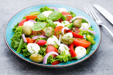 Vegetable salad with cheese mozzarella, tomatoes, basilikum and spice.