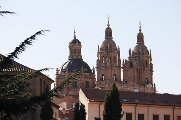 New Cathedral of Salamanca, Spain