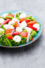 Vegetable salad with cheese mozzarella, tomatoes, basilikum and spice.