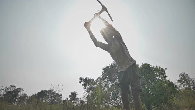 A slow motion shot of a farmer digging up the soil with Pickax or Mattock in the afternoon sun. A hard working man digging a fertile agricultural land with Pickaxe or hoe in the harsh summer sunlight 