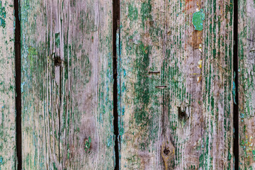 wooden fence painted in green color, wood texture