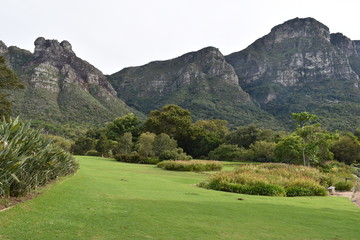 Landscape at the Botanical Garden in Cape Town in South Africa