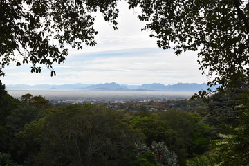 Landscape at the Botanical Garden with the city in background in Cape Town in South Africa