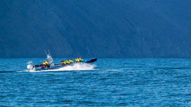 Husavik, Island. Walbeobachtung auf Island.
