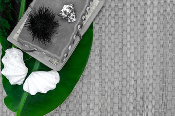 Banana Leaf, Old Journey Books, Seashells and Sea Urchin on Grey Straw Mat Background with Free Space
