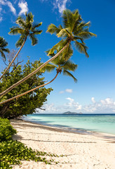 Idyllic scenery of sandy beach in the Seychelles