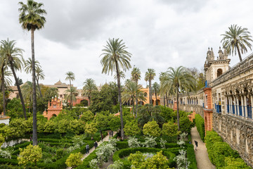 Fototapeta na wymiar botanical gardens of royal Alcazar o Seville, Spain