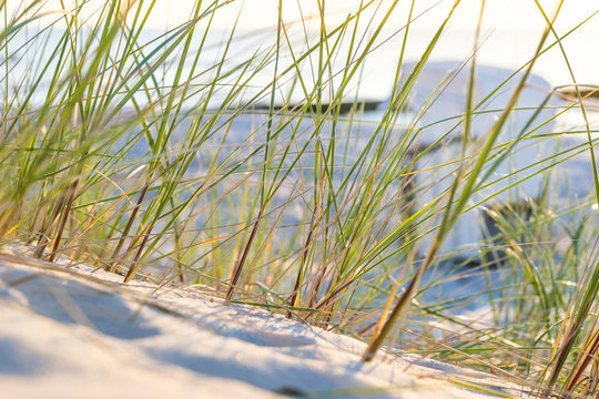Strand an der Ostsee mit Strandkorb