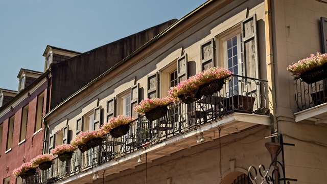 Old French Quarter Buildings with Balcony & Plants #6