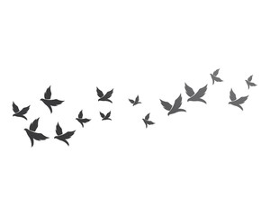 Bird background Template vector