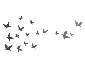 Bird background Template vector