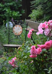 Garten im frühen Morgenlicht
