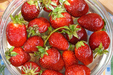 Fresh strawberry in capacity with water