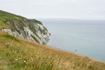 Cliffs by the Coast