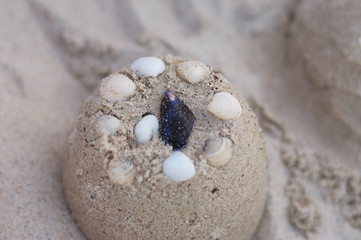 Beautiful simple sand tower with different sea shells. A nice sandy background