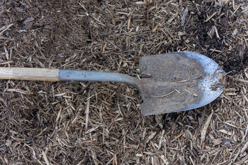 Shovel in garden on earth
