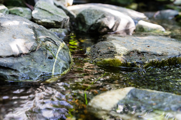 Naklejka na ściany i meble small creek with water and big rocks