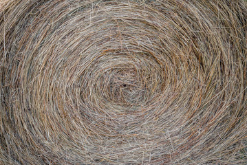 Closeup Round Haybale