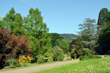 Botanischer Garten in Freiburg