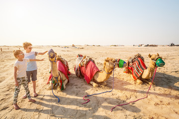 Kids with camels at desert