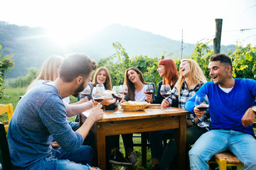 Friends having dinner in garden