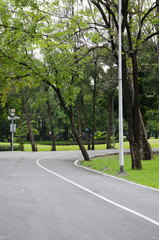 green bike lane in the garden