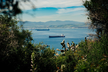 View on Bay of Gibraltar with some out of focus foliage in foreground. Photo with shallow depth of field. © PirahaPhotos
