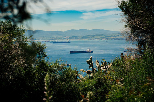 View on Bay of Gibraltar with some out of focus foliage in foreground. Photo with shallow depth of field.