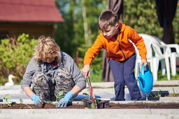 Caucasian grandma and grandson working together planting at kitchen-garden. © Artem