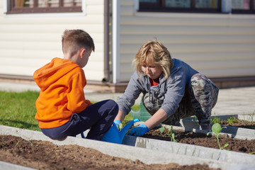 Caucasian mom and son working together planting at kitchen-garden.