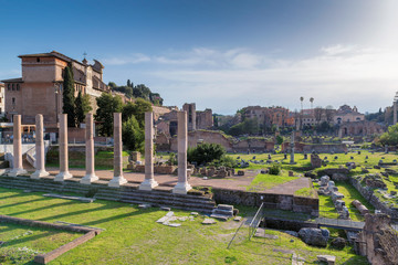 Fototapeta premium Famous Roman Forum in Rome, Italy, Roman Forum is one of the main attractions of Rome. Ancient architecture and landscape of Rome.