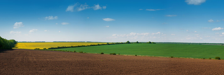 Lines of arable land and rapeflowerfield