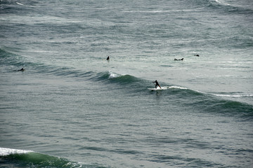 Fototapeta premium Paddle Boarder