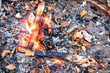 Closeup of wooden logs wood on fire showing detail and texture by campground campfire grill in outdoor park with flame, smoke