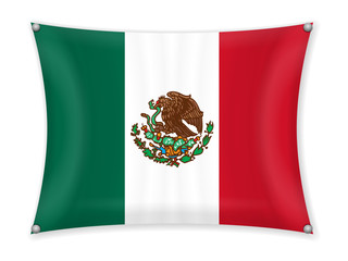 Waving Mexico flag