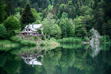 Fototapeta na wymiar A house with red shutters. Around the house is a green forest. In front of the house is a lake.