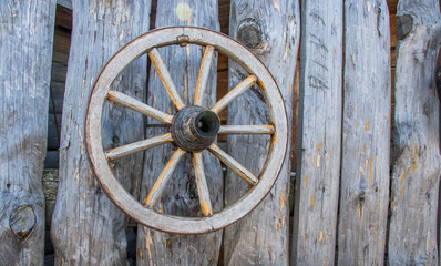 Fototapeta premium Wheel