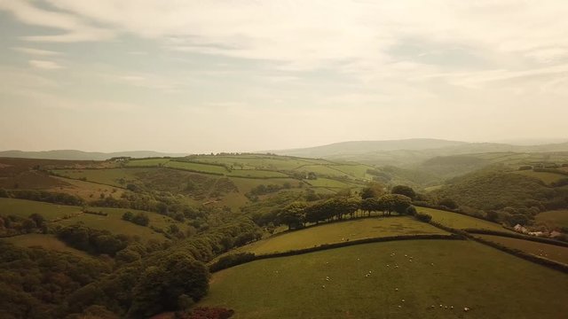 Aerial of Sheep grazing on Exmoor hills in England top down birds eye view