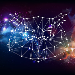 Abstract polygonal tirangle animal owl on open space background. Hipster animal illustration.