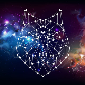 Abstract polygonal tirangle animal wolf on open space background. Hipster animal illustration.
