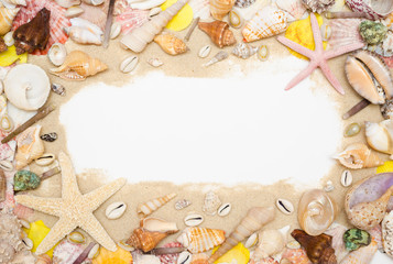 sand starfish seashell on white background