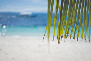 Fototapeta na wymiar blue sky with beach sea and leaf - soft focus with film filter