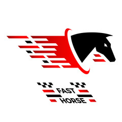 fast horse