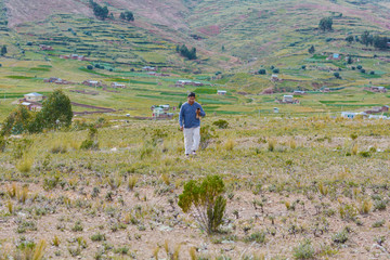 Andean landscape. Man walking.