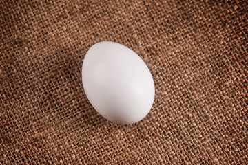 white eggson a canvas background