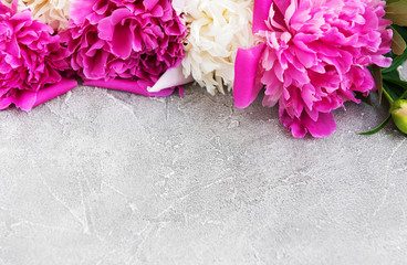 beautiful pink and white peony flowers