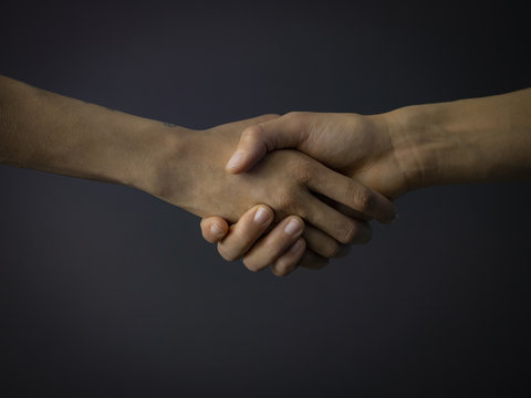 Business Handshake 